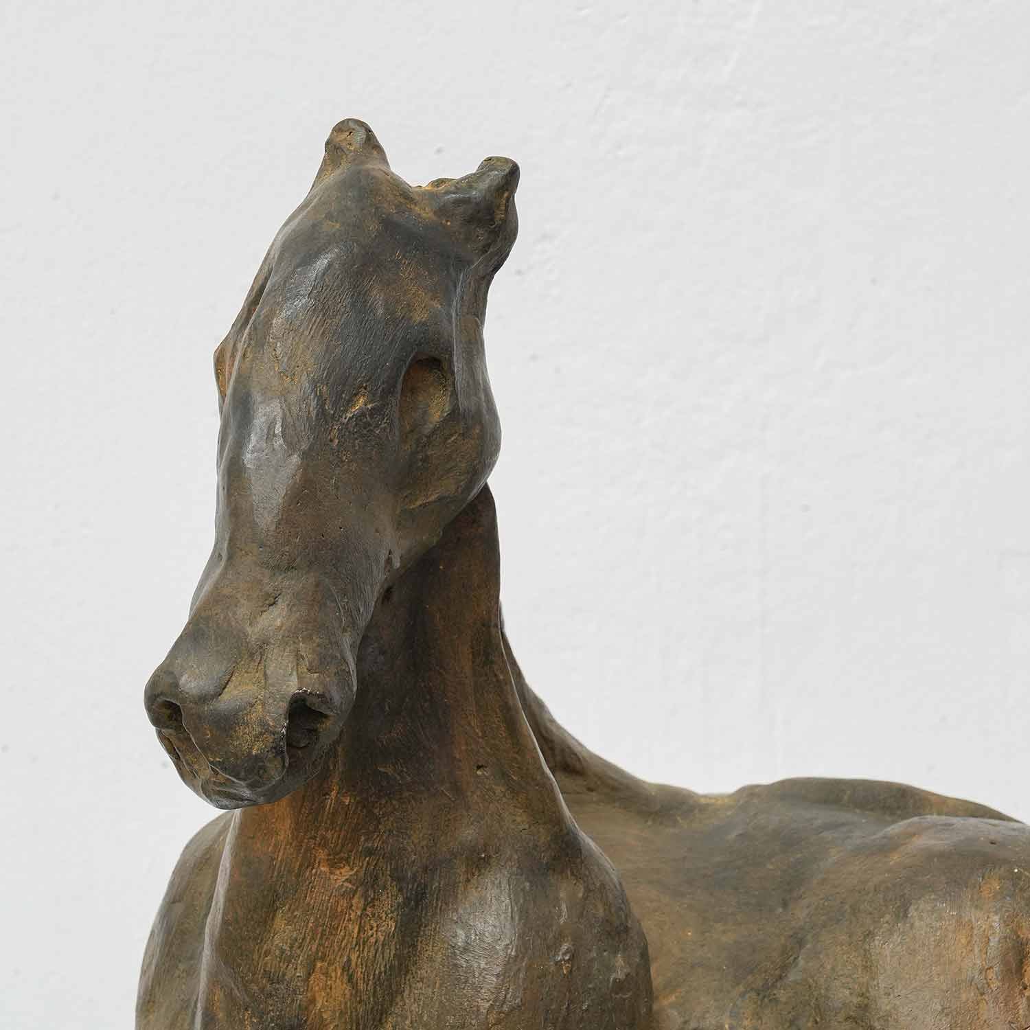 Caballo sabio