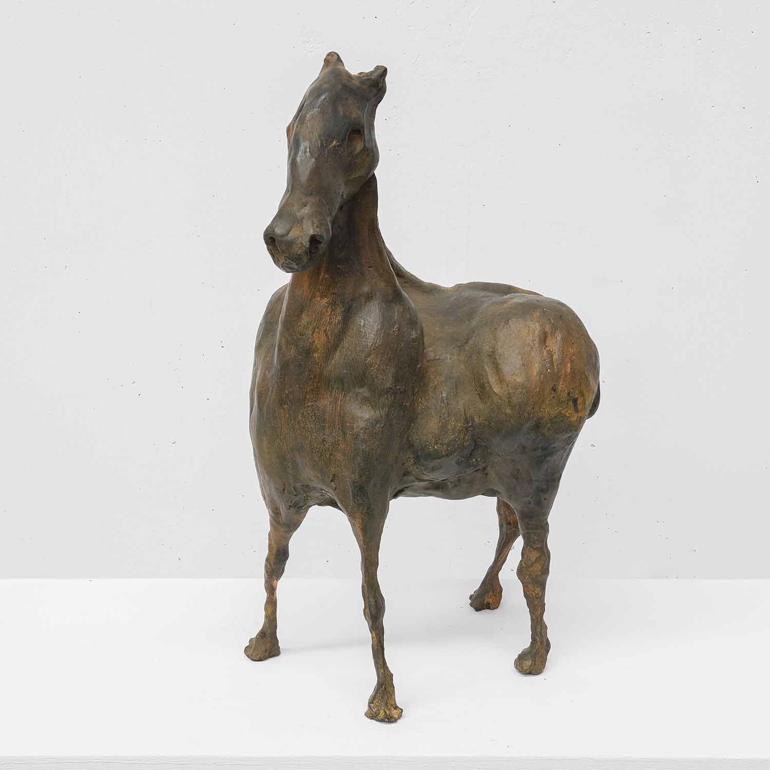 Caballo sabio
