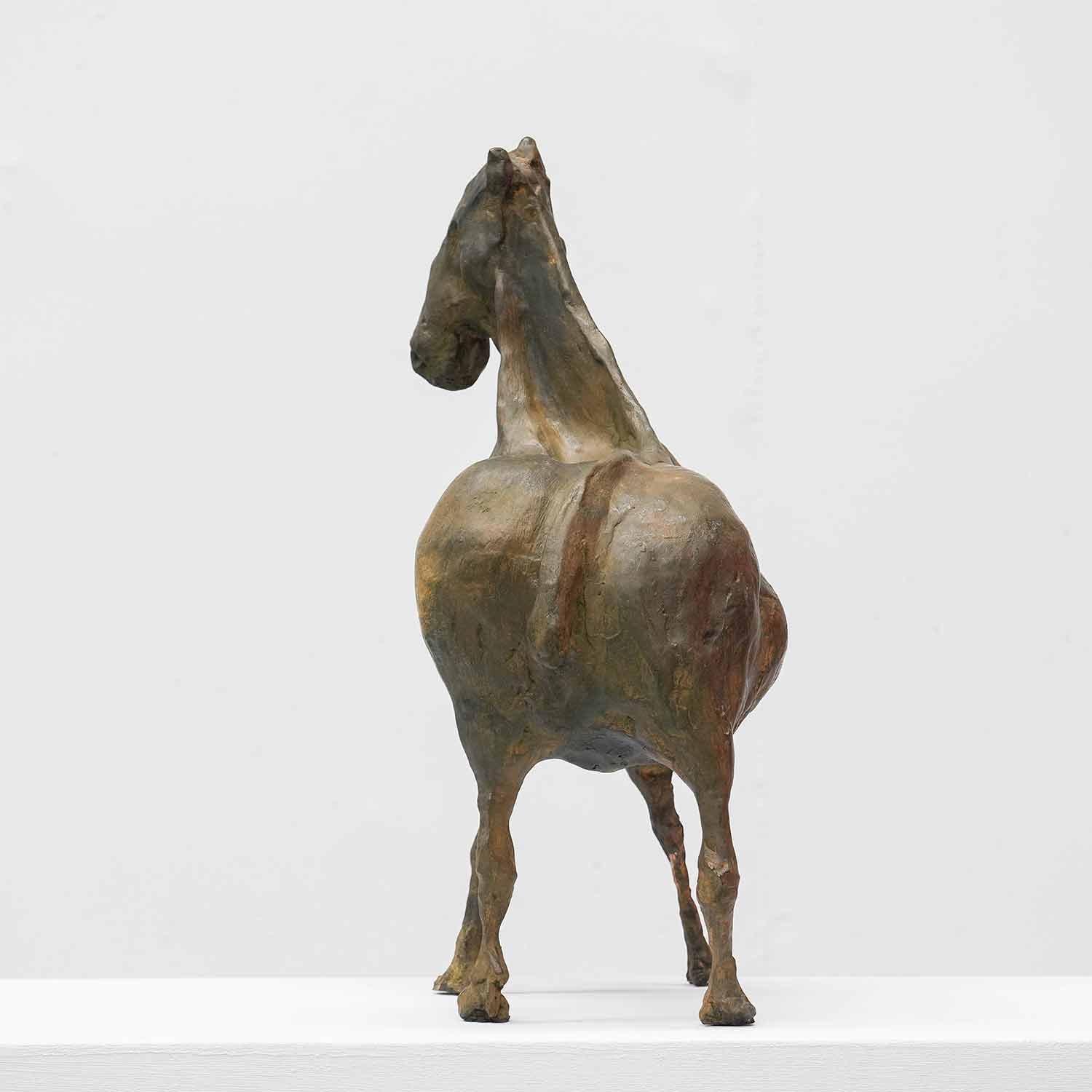 Caballo sabio