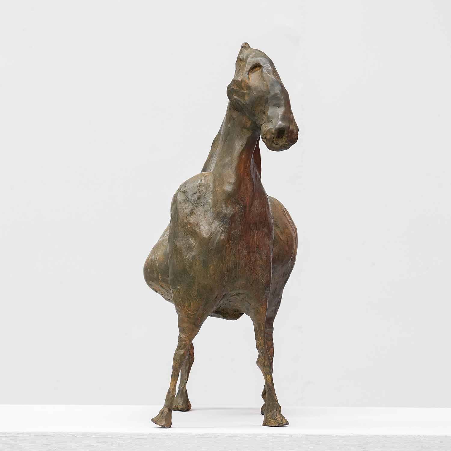 Caballo sabio