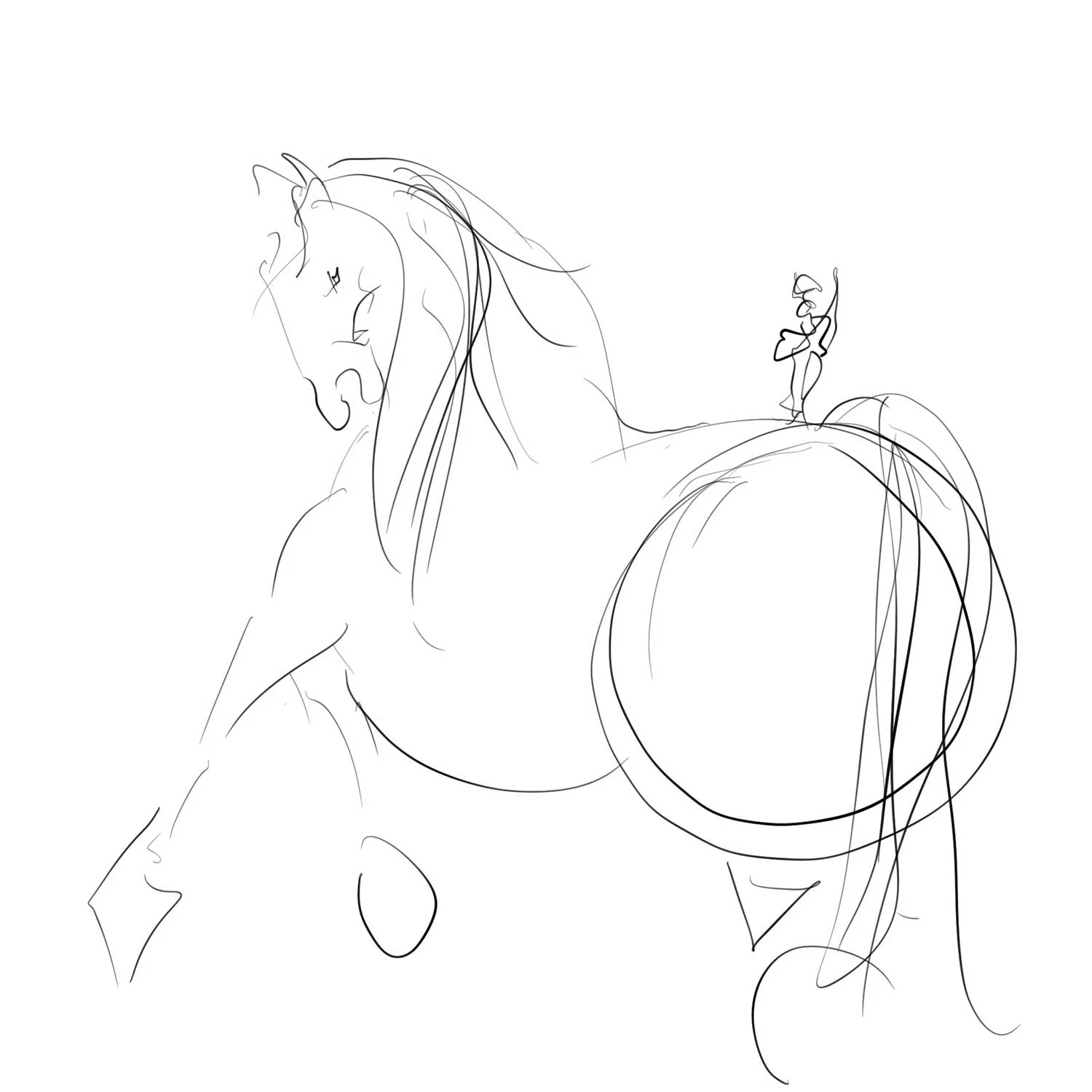 Circus horse